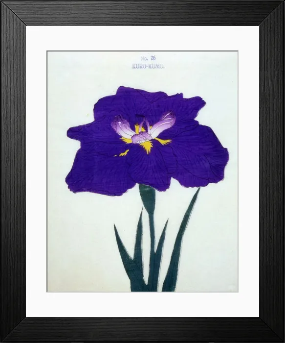 Framed Print : Kuro-Kumo, No 26 Framed Print : Kuro-Kumo, No 26