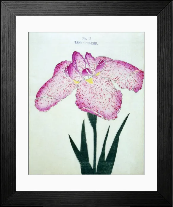 Framed Print : Tanka-No-Koe, No 15 Framed Print : Tanka-No-Koe, No 15
