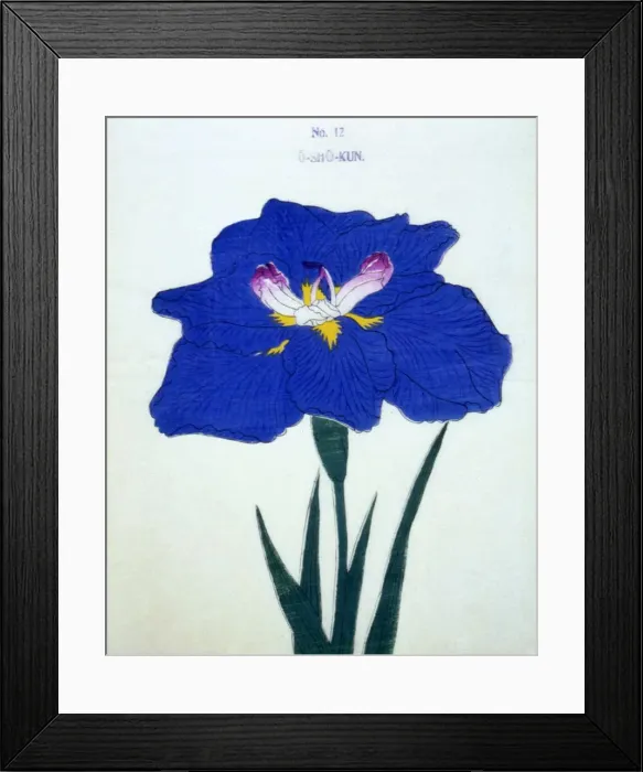 Framed Print : O-Sho-Kun, No 12 Framed Print : O-Sho-Kun, No 12