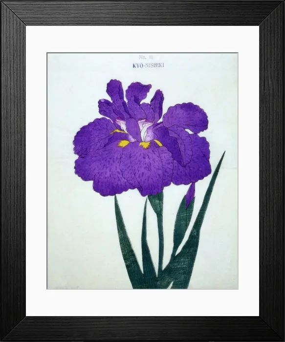 Framed Print : Nyo-Nishiki, No 11 Framed Print : Nyo-Nishiki, No 11