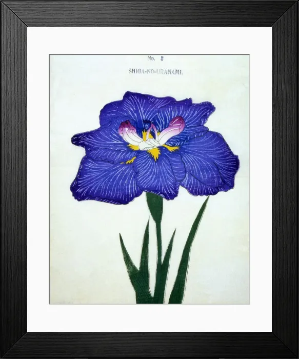 Framed Print : Shiga-No-Uranami, No. 3 Framed Print : Shiga-No-Uranami, No. 3