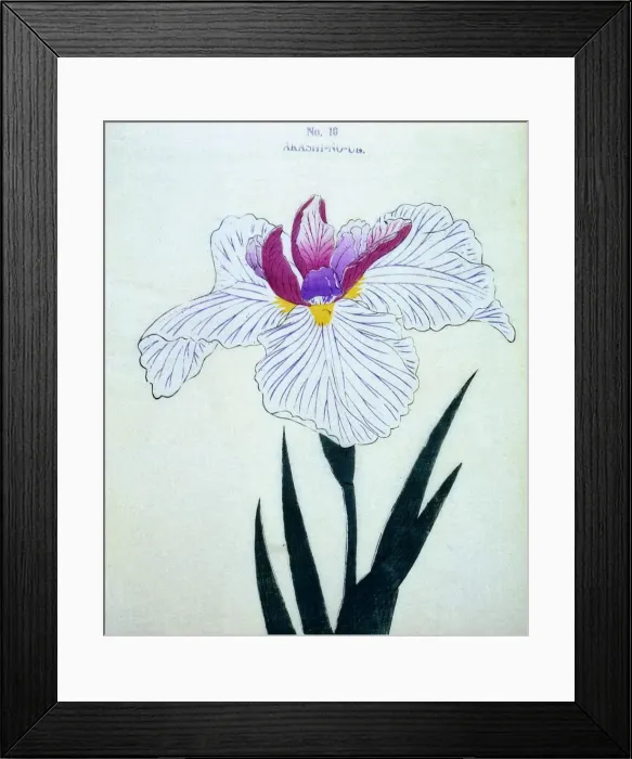 Framed Print : Akashi-No-Ul, No 10 Framed Print : Akashi-No-Ul, No 10