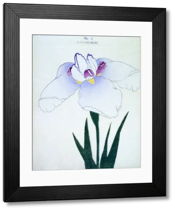 Framed Print : Zama-No-Mori, No 4 Framed Print : Zama-No-Mori, No 4