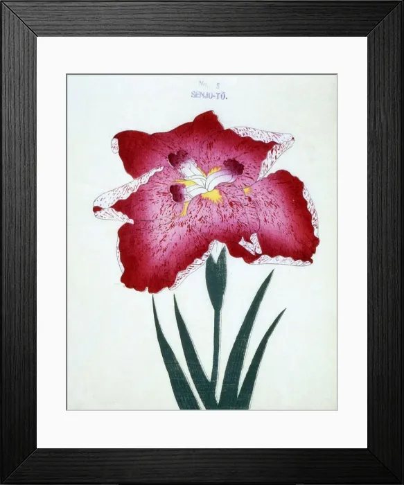 Framed Print : Senjo-To, No 5 Framed Print : Senjo-To, No 5