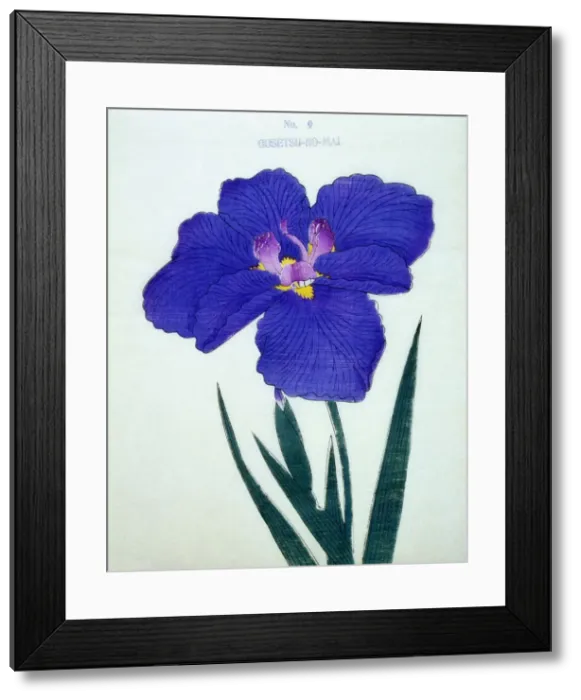 Framed Print : Gosetsu-No-Mai, No 9 Framed Print : Gosetsu-No-Mai, No 9