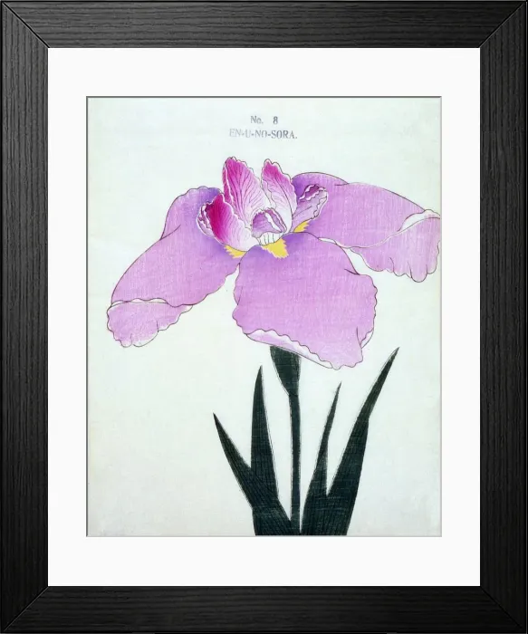 Framed Print : En-U-No-Sora, No 8 Framed Print : En-U-No-Sora, No 8
