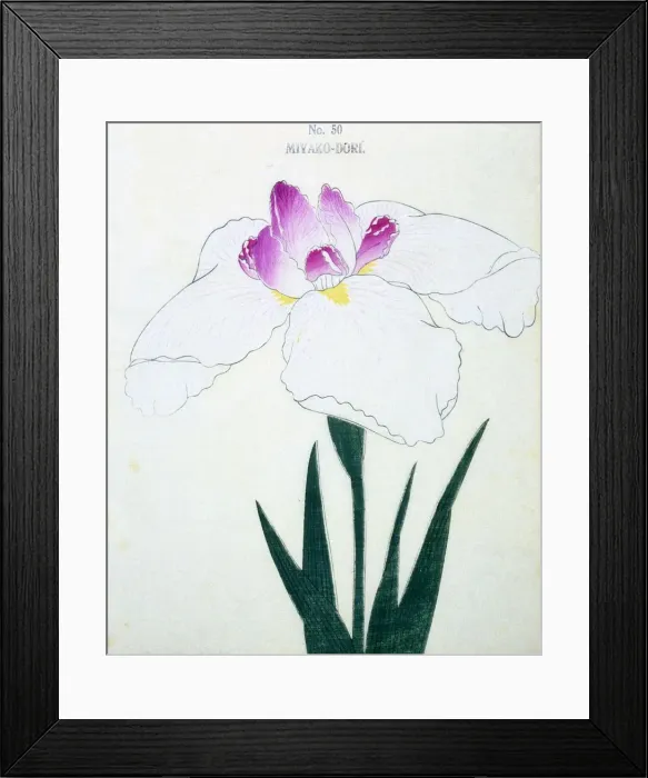 Framed Print : Miyako-Dore, No 50 Framed Print : Miyako-Dore, No 50