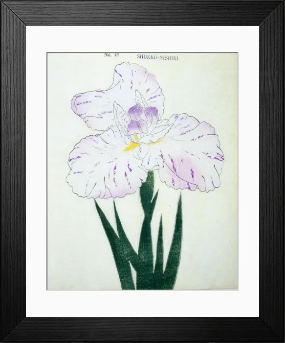 Framed Print : Shokko-Nishiki, No. 48 Framed Print : Shokko-Nishiki, No. 48