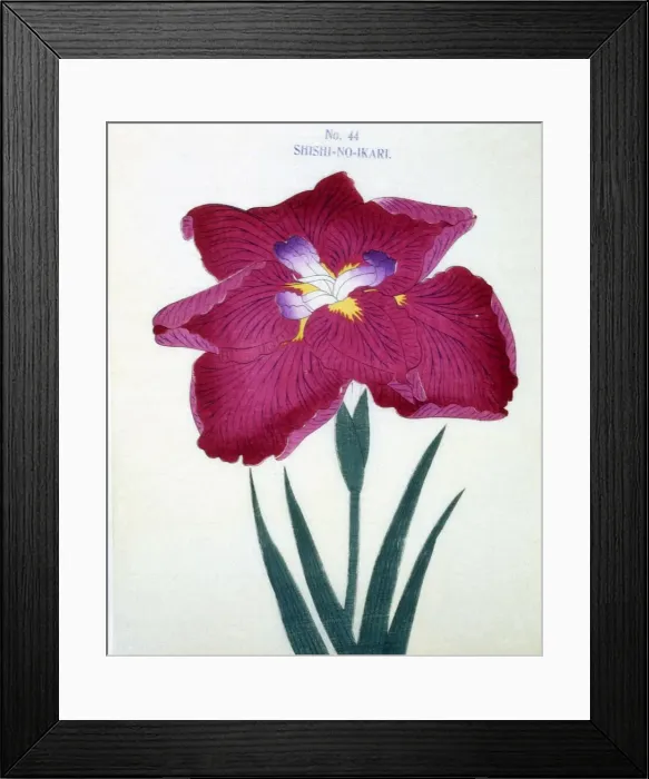 Framed Print : Shishi-No-Ikari, No 44 Framed Print : Shishi-No-Ikari, No 44