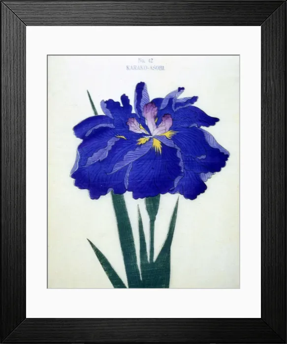 Framed Print : Karako-Asobi, No 42 Framed Print : Karako-Asobi, No 42