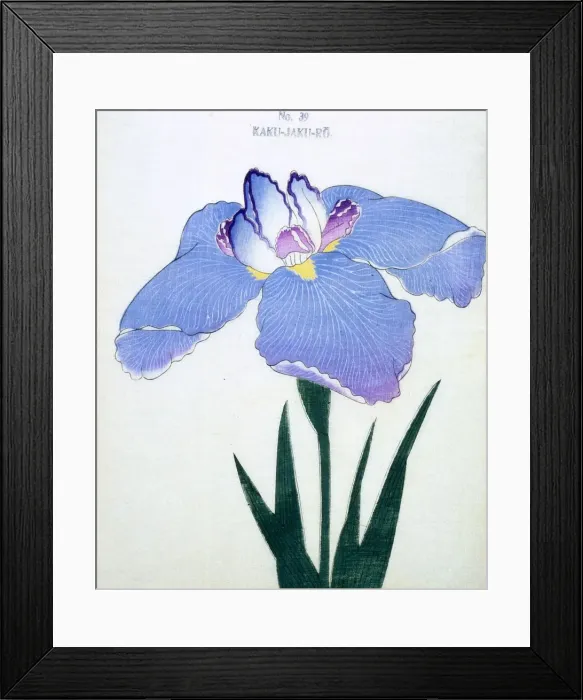 Framed Print : Kaku-Jaku-Ro, No 39 Framed Print : Kaku-Jaku-Ro, No 39