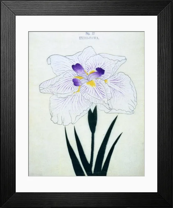 Framed Print : Izumi-Gawa, No 37 Framed Print : Izumi-Gawa, No 37