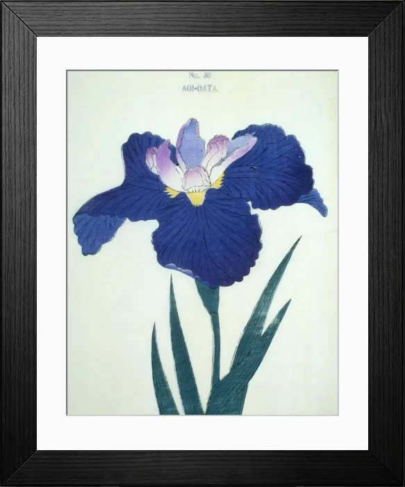 Framed Print : Aoi-Gata, No 30 Framed Print : Aoi-Gata, No 30