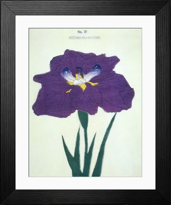 Framed Print : Hizume-No-Hyoshi, No 29 Framed Print : Hizume-No-Hyoshi, No 29