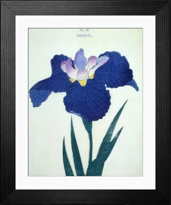 Framed Print : Aoi-Gata, No 30 Framed Print : Aoi-Gata, No 30