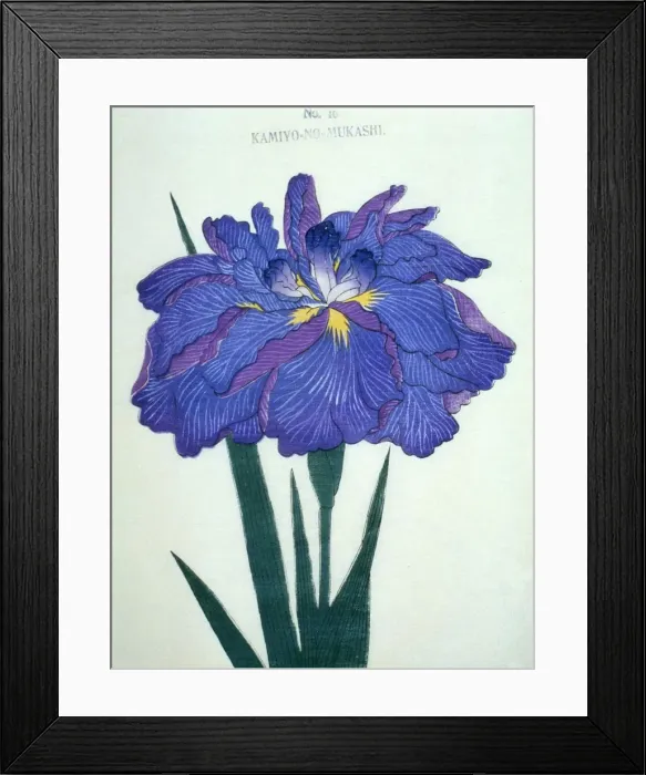 Framed Print : Kamiyo-No-Mukashi No 16 Framed Print : Kamiyo-No-Mukashi No 16