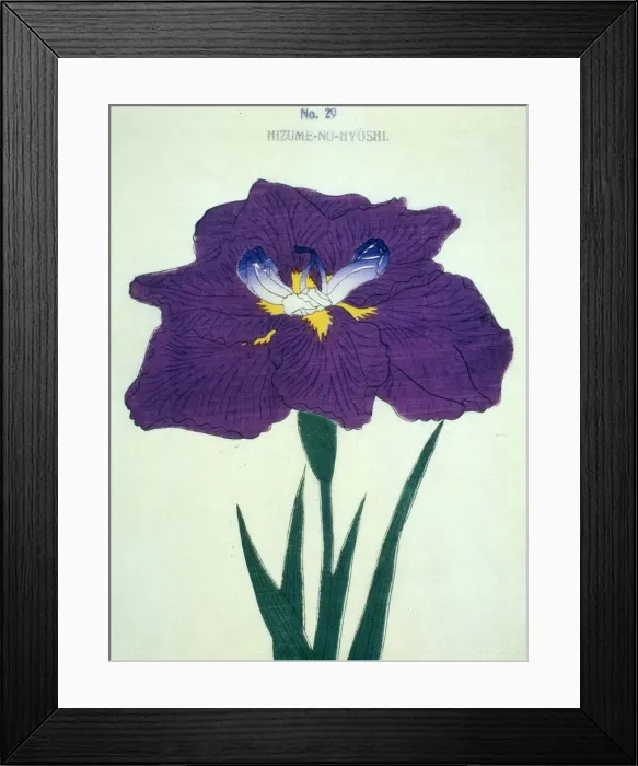 Framed Print : Hizume-No-Hyoshi, No 29 Framed Print : Hizume-No-Hyoshi, No 29