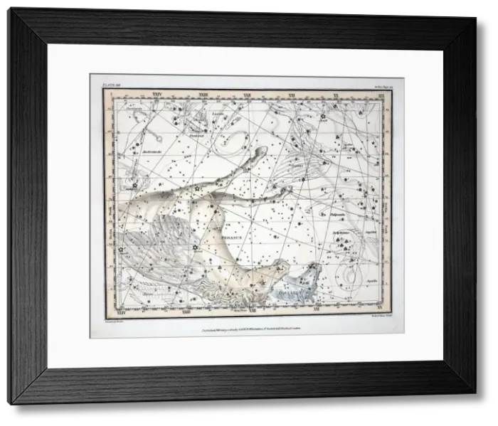 Framed Print : The Constellations (Plate XII) Pegasus, and Equuleus, 1822 Framed Print : The Constellations (Plate XII) Pegasus, and Equuleus, 1822