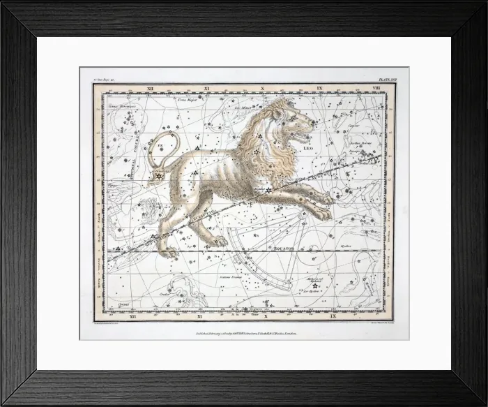 Framed Print : The Constellations (Plate XVII) Leo, 1822 Framed Print : The Constellations (Plate XVII) Leo, 1822