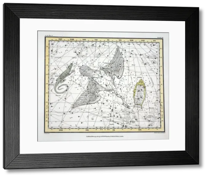 Framed Print : The Constellations (Plate XI) Cygnus, Lacerta and Via Lactea, 1822 Framed Print : The Constellations (Plate XI) Cygnus, Lacerta and Via Lactea, 1822
