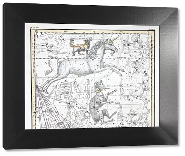The Constellations (Plate XXV, 1822