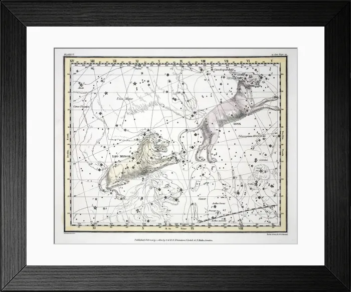 Framed Print : The Constellations (Plate V) Lynx, Leo Minor, 1822 Framed Print : The Constellations (Plate V) Lynx, Leo Minor, 1822
