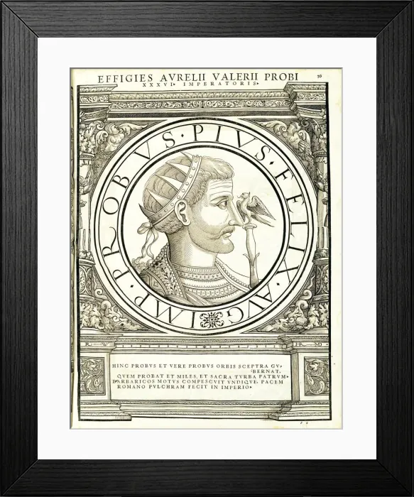 Framed Print : Probus (232 - 282), 1559 Framed Print : Probus (232 - 282), 1559