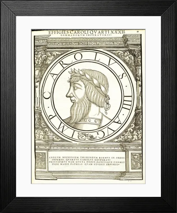 Framed Print : Carolus IIII (1316 - 1378), 1559 Framed Print : Carolus IIII (1316 - 1378), 1559