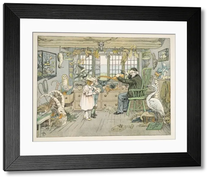 Framed Print : The Bird Stuffer, from Four and Twenty Toilers, pub. 1900 (colour lithograph) Framed Print : The Bird Stuffer, from Four and Twenty Toilers, pub. 1900 (colour lithograph)