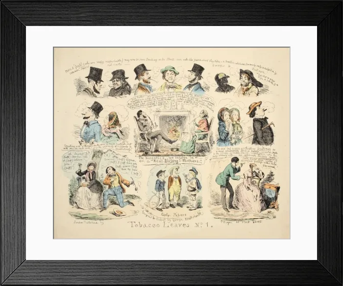 Framed Print : Tobacco Leaves No. 1, pub. 1851 (hand coloured engraving) Framed Print : Tobacco Leaves No. 1, pub. 1851 (hand coloured engraving)