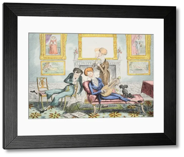 Framed Print : Hummingbirds or A Dandy Trio, pub. 1835 (hand coloured engraving) Framed Print : Hummingbirds or A Dandy Trio, pub. 1835 (hand coloured engraving)