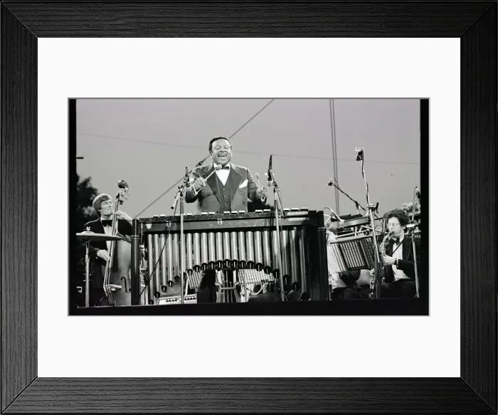 Framed Print : Lionel Hampton, Knebworth, 1982. Artist: Brian O Connor Framed Print : Lionel Hampton, Knebworth, 1982. Artist: Brian O Connor