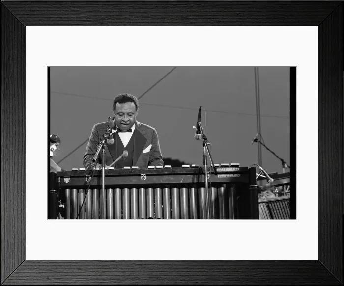 Framed Print : Lionel Hampton, Knebworth, 1982. Artist: Brian O Connor Framed Print : Lionel Hampton, Knebworth, 1982. Artist: Brian O Connor