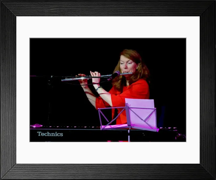 Framed Print : Hilary Cameron, Hawth, Crawley, East Sussex, 2014. Artist: Brian O Connor Framed Print : Hilary Cameron, Hawth, Crawley, East Sussex, 2014. Artist: Brian O Connor