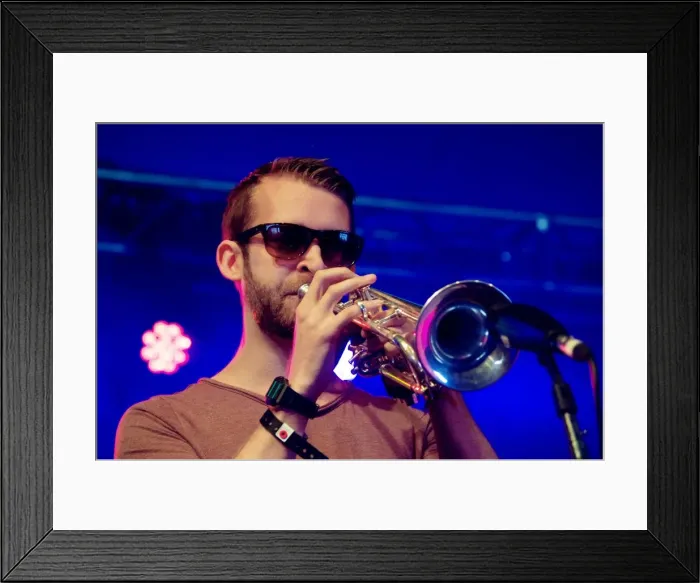 Framed Print : Mark Perry, Love Supreme Jazz Festival, Glynde Place, East Sussex, 2014. Artist: Brian O Connor Framed Print : Mark Perry, Love Supreme Jazz Festival, Glynde Place, East Sussex, 2014. Artist: Brian O Connor