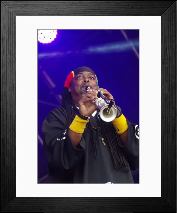 Framed Print : Courtney Pine, Love Supreme Jazz Festival, Glynde Place, East Sussex, 2014. Artist: Brian O Connor Framed Print : Courtney Pine, Love Supreme Jazz Festival, Glynde Place, East Sussex, 2014. Artist: Brian O Connor