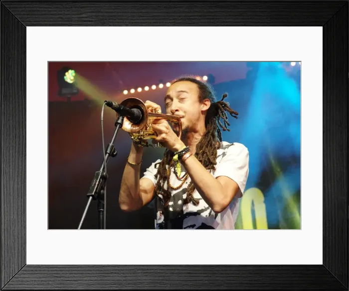 Framed Print : Theo Croker, Love Supreme Jazz Festival, Glynde Place, East Sussex, 2015. Artist: Brian O Connor Framed Print : Theo Croker, Love Supreme Jazz Festival, Glynde Place, East Sussex, 2015. Artist: Brian O Connor