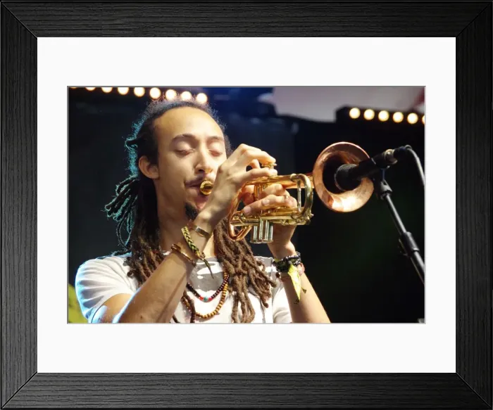 Framed Print : Irwin Hall, Love Supreme Jazz Festival, Glynde Place, East Sussex, 2015. Artist: Brian O Connor Framed Print : Irwin Hall, Love Supreme Jazz Festival, Glynde Place, East Sussex, 2015. Artist: Brian O Connor