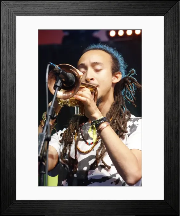 Framed Print : Theo Croker, Love Supreme Jazz Festival, Glynde Place, East Sussex, 2015. Artist: Brian O Connor Framed Print : Theo Croker, Love Supreme Jazz Festival, Glynde Place, East Sussex, 2015. Artist: Brian O Connor