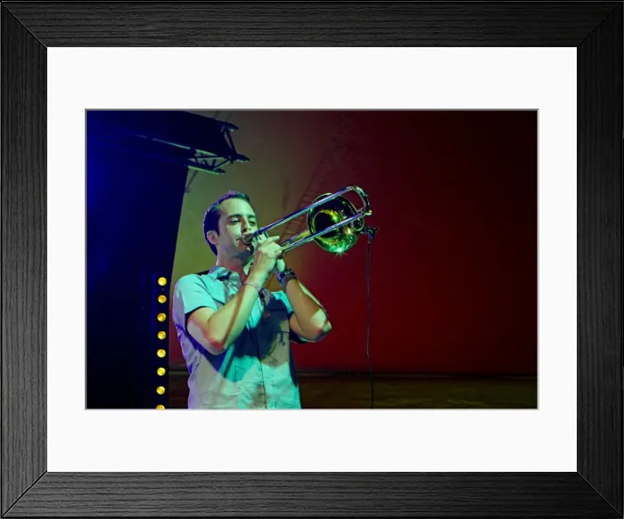 Framed Print : Tom Green, Love Supreme Jazz Festival, Glynde Place, East Sussex, 2015. Artist: Brian O Connor Framed Print : Tom Green, Love Supreme Jazz Festival, Glynde Place, East Sussex, 2015. Artist: Brian O Connor
