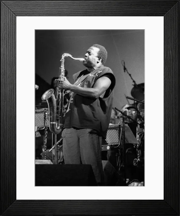 Framed Print : David Murray, Brecon Jazz Festival, Powys, Wales, August 1999. Artist: Brian O Connor Framed Print : David Murray, Brecon Jazz Festival, Powys, Wales, August 1999. Artist: Brian O Connor