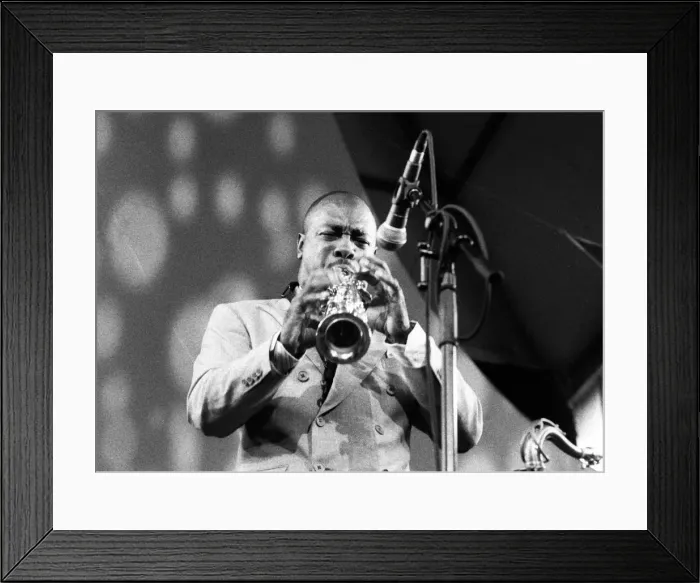 Framed Print : Nicholas Payton, Brecon Jazz Festival, Powys, Wales, August 2001. Artist: Brian O Connor Framed Print : Nicholas Payton, Brecon Jazz Festival, Powys, Wales, August 2001. Artist: Brian O Connor