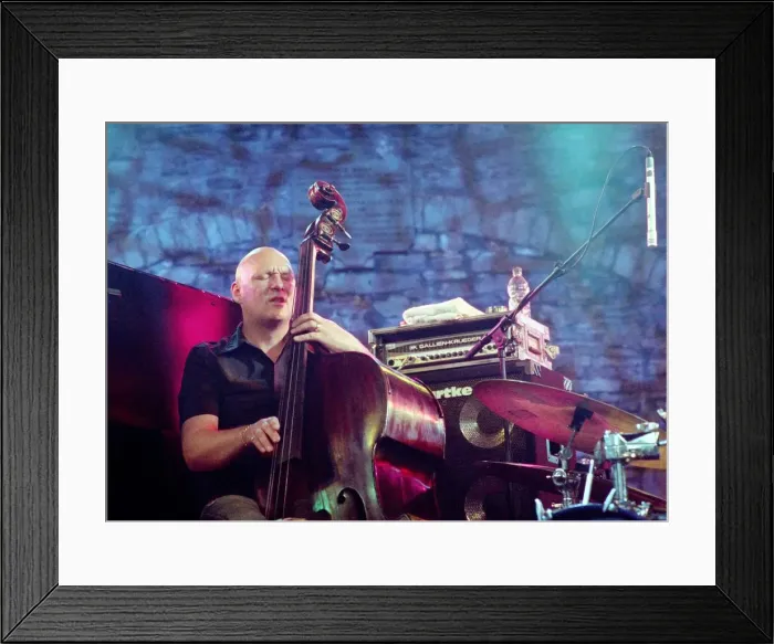 Framed Print : Dan Berglund, Brecon Jazz Festival, Powys, Wales, August 2005. Artist: Brian O Connor Framed Print : Dan Berglund, Brecon Jazz Festival, Powys, Wales, August 2005. Artist: Brian O Connor