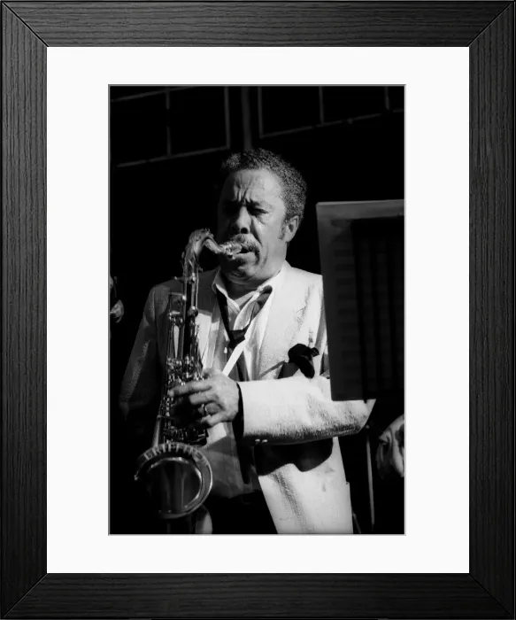 Framed Print : Johnny Griffin, Pendley Jazz Festival. UK, July 1985. Artist: Brian O Connor Framed Print : Johnny Griffin, Pendley Jazz Festival. UK, July 1985. Artist: Brian O Connor