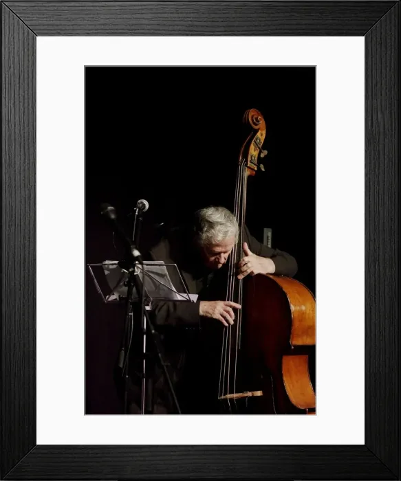 Framed Print : Herbie Flowers, Hawth, Crawley, West Sussex, Nov 2015. Artist: Brian O Connor Framed Print : Herbie Flowers, Hawth, Crawley, West Sussex, Nov 2015. Artist: Brian O Connor