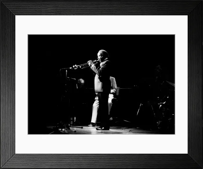 Framed Print : Roy Eldridge, Capital Jazz, Royal Festival Hall, London, July 1985. Artist: Brian O Connor Framed Print : Roy Eldridge, Capital Jazz, Royal Festival Hall, London, July 1985. Artist: Brian O Connor