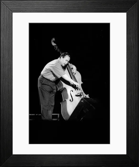 Framed Print : Eddie Gomez, Royal Festival Hall London, July 1988. Artist: Brian O Connor Framed Print : Eddie Gomez, Royal Festival Hall London, July 1988. Artist: Brian O Connor