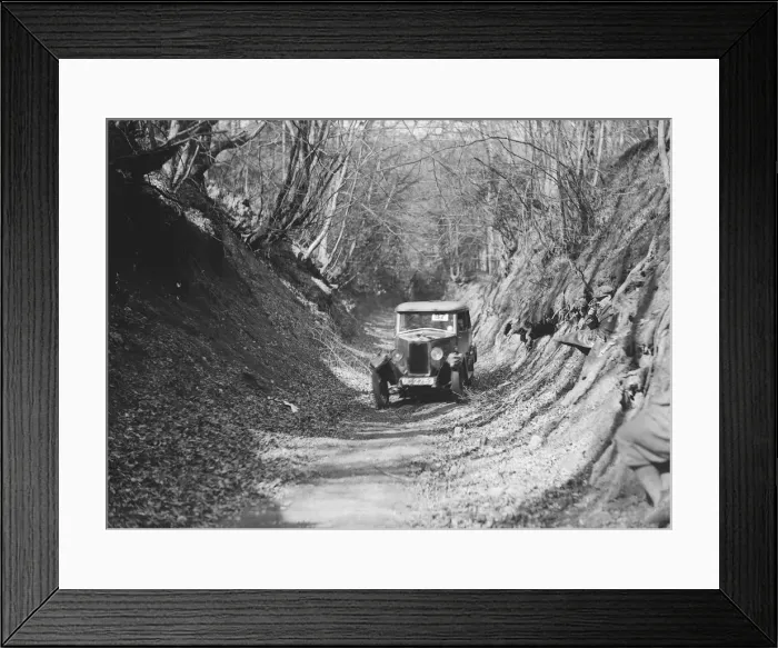 Framed Print : Riley Monaco taking part in a trial Artist: Bill Brunell Framed Print : Riley Monaco taking part in a trial Artist: Bill Brunell