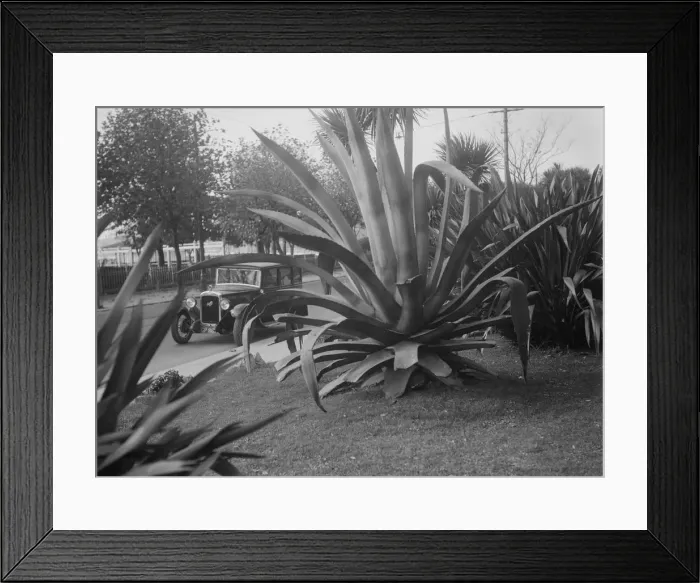 Framed Print : 1931 Austin 16 / 6 on a road test, Torquay, Devon. Artist: Bill Brunell Framed Print : 1931 Austin 16 / 6 on a road test, Torquay, Devon. Artist: Bill Brunell