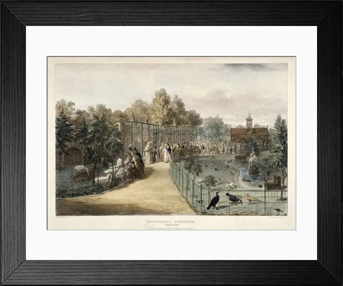 Framed Print : Zoological Gardens, Regents Park, London, 1835. Artist: George Scharf Framed Print : Zoological Gardens, Regents Park, London, 1835. Artist: George Scharf